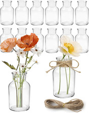 12 Mini Vasi in Vetro 125Ml