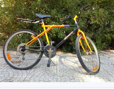 Bianchi ragno meta - bianchi,