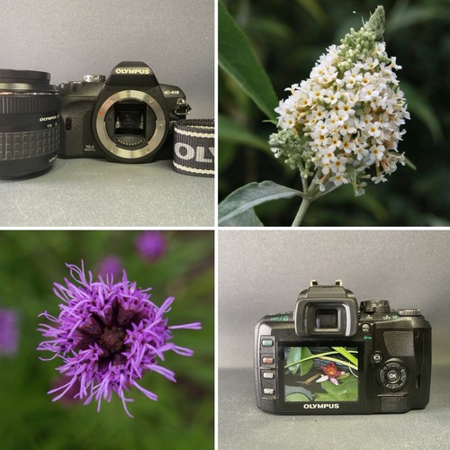 Olympus 410 fotocamera - e-410,
