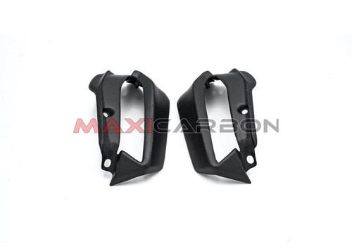Paramani carbonio ducati - in,