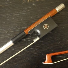 Master Level Top Pernambuco