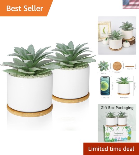 Squisito set piante - squisito,