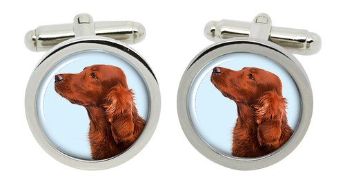 Irlandese rosso setter gemelli - rosso,