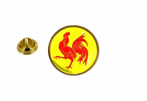 Pins pin badge drapeau - pin's,