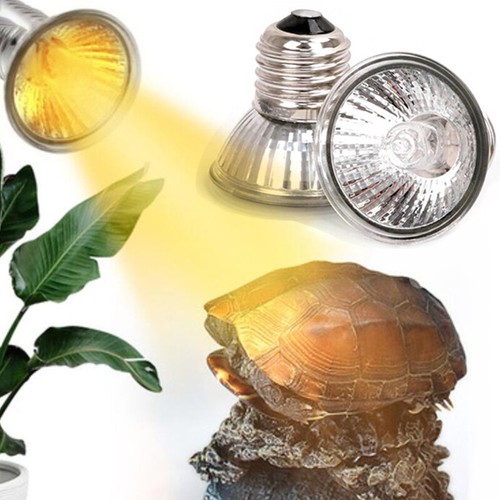 Lampadine termiche 25w - lampadine, 50w