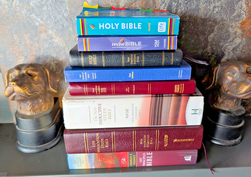 1995 nasb bible - nasb, j1