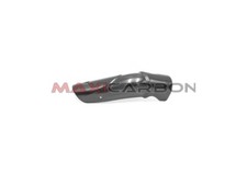 Paracalore Akrapovic in