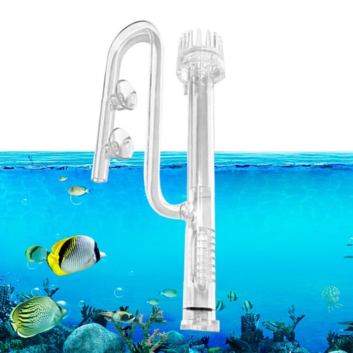 Skimmer superficie acqua