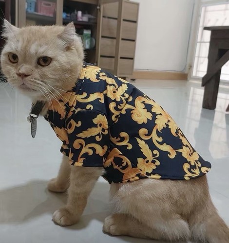 Camicia estiva cane - , gatto