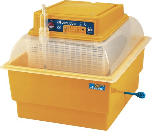 Incubatrice analogica - incubatrice,