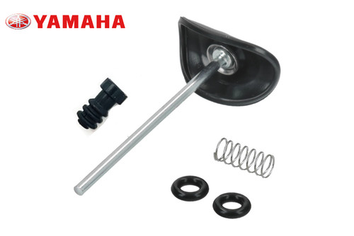 Membrana ripresa - membrana,