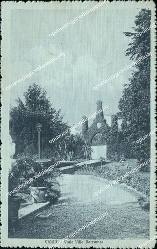Bg276 cartolina viggiu viale - bg276,