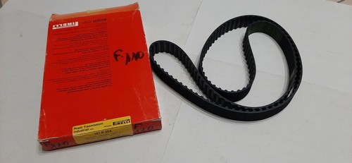Cinghia distribuzione pirelli - cinghia,