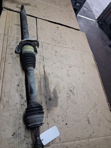 Semialbero ant compl dx - semialbero, compl.