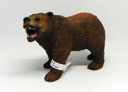 Orso grizzly - orso,