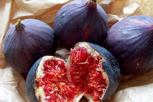 Genovese nero fico - nero-, ficus