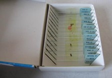 Prepared microscope - prepared,