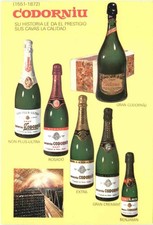 Cavas Codorniu - Vino -678818