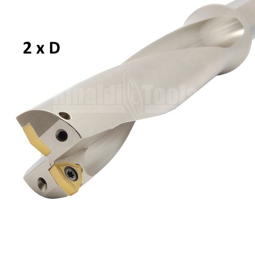 2xd wcmx trapano - 2xd,
