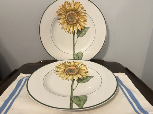 Set piatti villeroy - set, di
