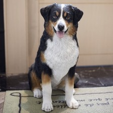 Statuina cucciolo decorativo