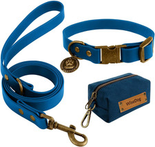 Set Collare E Guinzaglio per