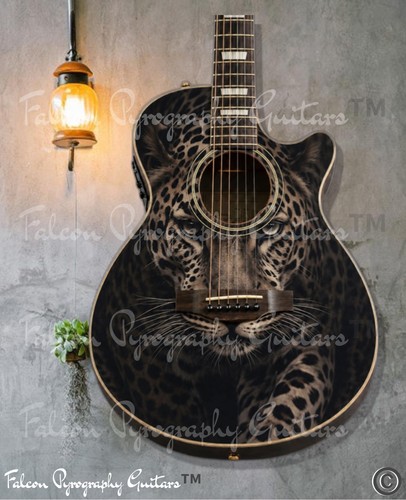 Chitarra elettroacustica fatta