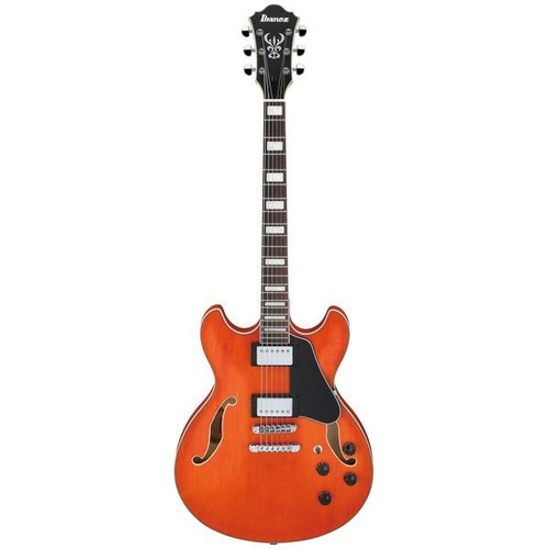 Ibanez chitarra semiacustica
