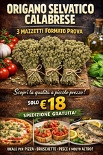 Origano Calabrese Selvatico 3