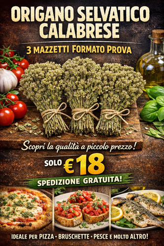 Origano calabrese selvatico - origano,