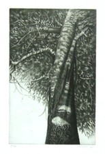 Guido Giuffré. Franco Dugo. Con un'acquaforte originale. Arte Club 1998