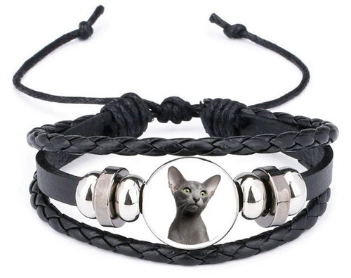 Oriental cat grey - grey, pet