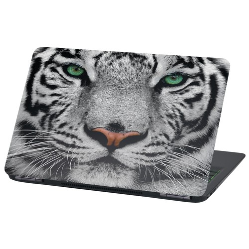 Pellicola adesiva per laptop