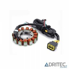 ✅ Alternatore statore