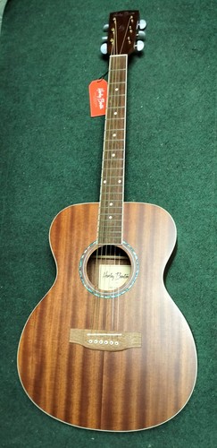 Chitarra acustica folk style