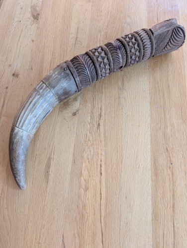 Grande olifante africano - olifante,