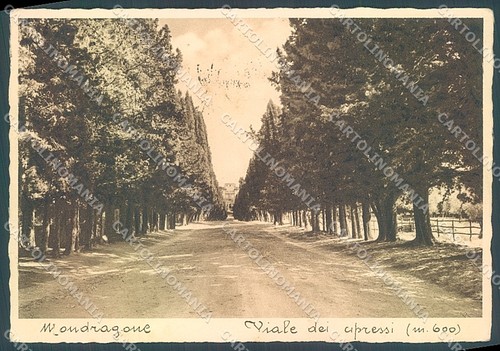 Caserta mondragone viale - caserta,