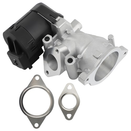 Vanne egr for - vanne, 307