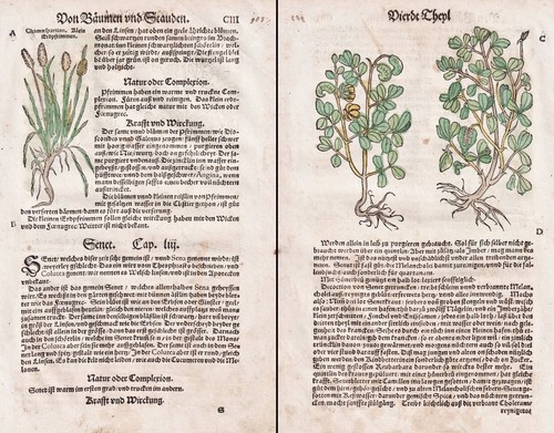 Libro erbe botaniche - libro, di