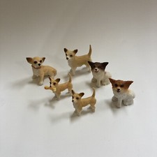 Miniatura 6 cani cucciolo