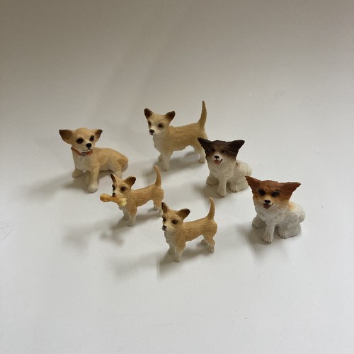 Miniatura cani cucciolo - miniatura, 6