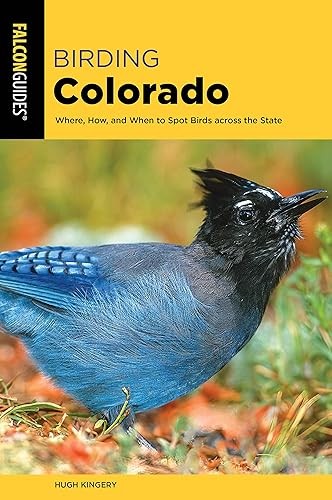 Birding colorado - colorado, (birding