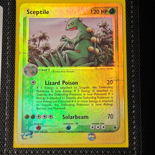 Sceptile rubino - sceptile, ex