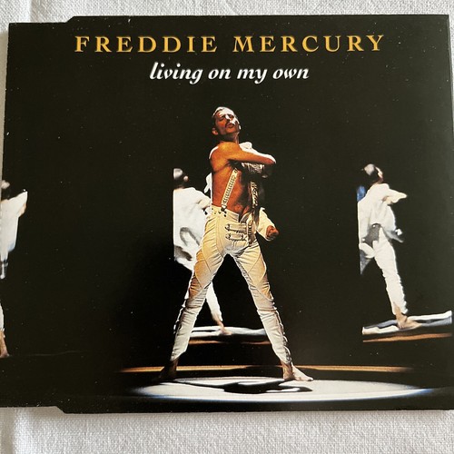 Freddie mercury - (queen),