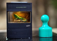 Terrario lucertola rettile 1/64 - Vetrina habitat zoo per allevamento rettili