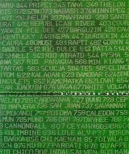 Catalogo della mostra: - Alighiero Boetti. 