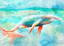Quadro Balene Stampa Animale