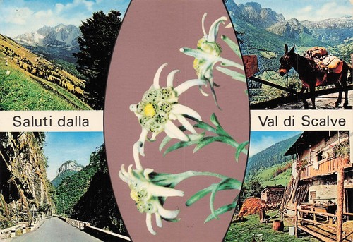 Cartolina saluti - 38-2a),