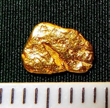 Pepita d'oro XXL 61 mm pepite