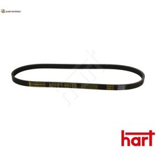 CINGHIA TRAPEZOIDALE 334 261